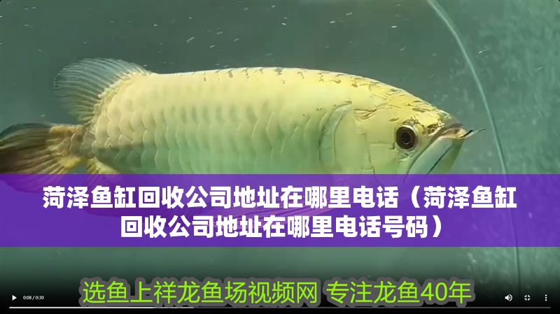 菏澤魚(yú)缸回收公司地址在哪里電話(菏澤魚(yú)缸回收公司地址在哪里電話號(hào)碼) 虎魚(yú)百科 第1張 菏澤魚(yú)缸回收公司地址在哪里電話(菏澤魚(yú)缸回收公司地址在哪里電話號(hào)碼) 菏澤魚(yú)缸回收公司地址在哪里電話(菏澤魚(yú)缸回收公司地址在哪里電話號(hào)碼) 虎魚(yú)百科 第1張