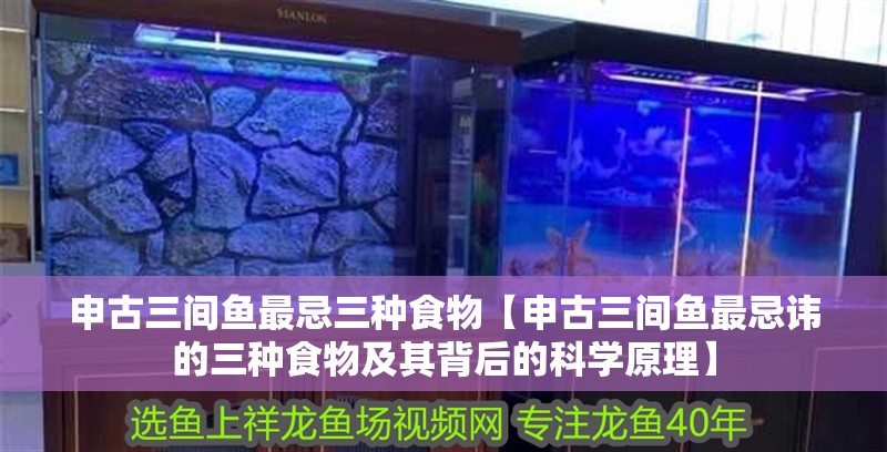 申古三間魚最忌三種食物【申古三間魚最忌諱的三種食物及其背后的科學原理】