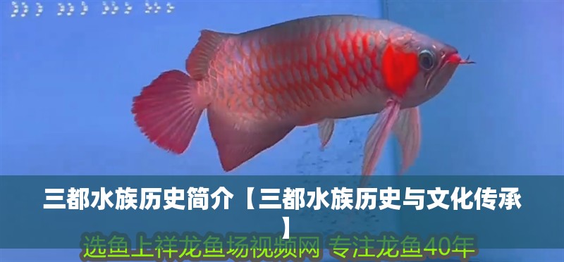 三都水族歷史簡(jiǎn)介【三都水族歷史與文化傳承】 龍魚論壇 三都水族歷史簡(jiǎn)介【三都水族歷史與文化傳承】 三都水族歷史簡(jiǎn)介【三都水族歷史與文化傳承】 龍魚論壇
