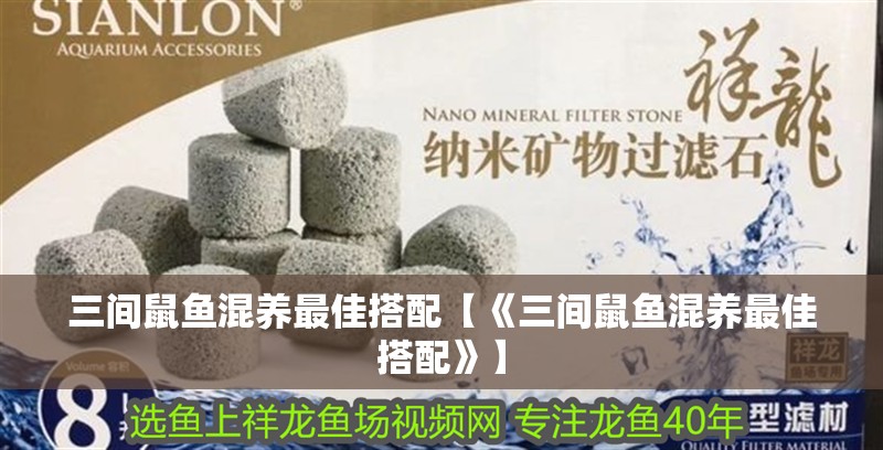 三間鼠魚混養最佳搭配【《三間鼠魚混養最佳搭配》】