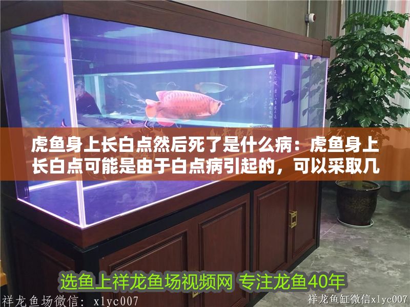 虎魚身上長白點然后死了是什么病：虎魚身上長白點可能是由于白點病引起的，可以采取幾種處理方法