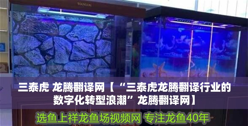 三泰虎 龍騰翻譯網【“三泰虎龍騰翻譯行業(yè)的數字化轉型浪潮”龍騰翻譯網】