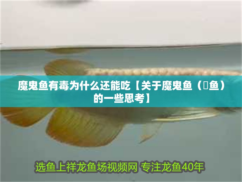 魔鬼魚有毒為什么還能吃【關于魔鬼魚（魟魚）的一些思考】