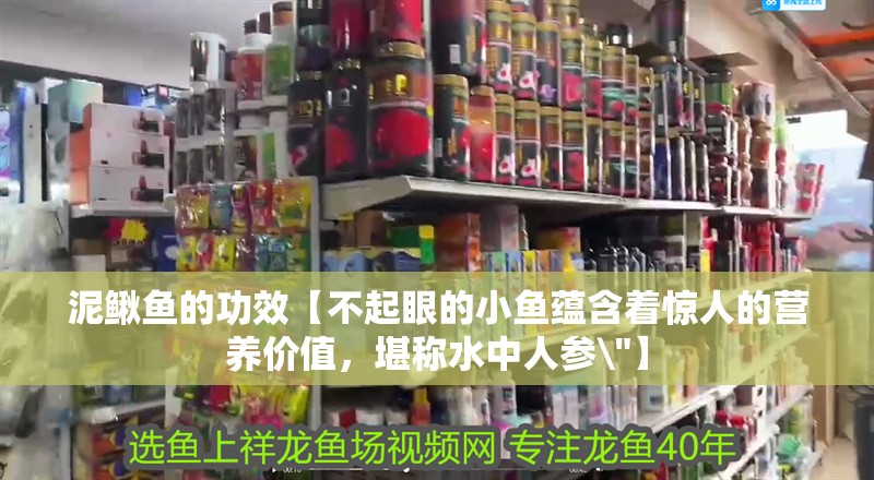 泥鰍魚的功效【不起眼的小魚蘊含著驚人的營養價值，堪稱水中人參\