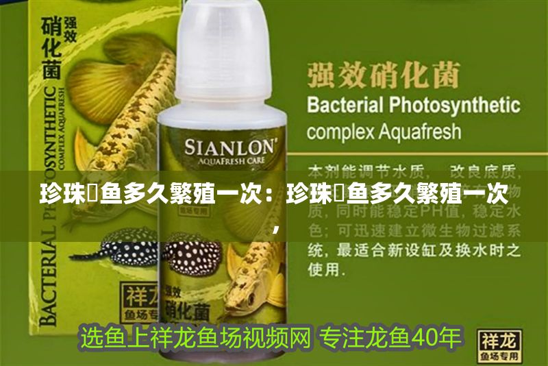 珍珠魟魚多久繁殖一次：珍珠魟魚多久繁殖一次，