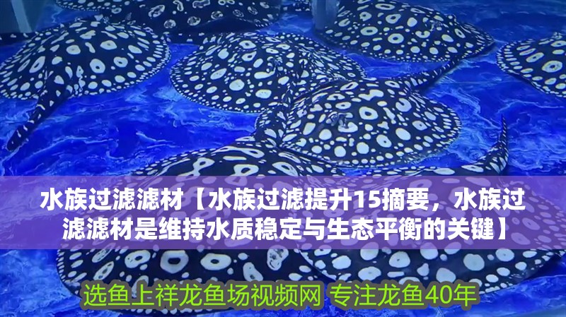 水族過濾濾材【水族過濾提升15摘要，水族過濾濾材是維持水質穩定與生態平衡的關鍵】