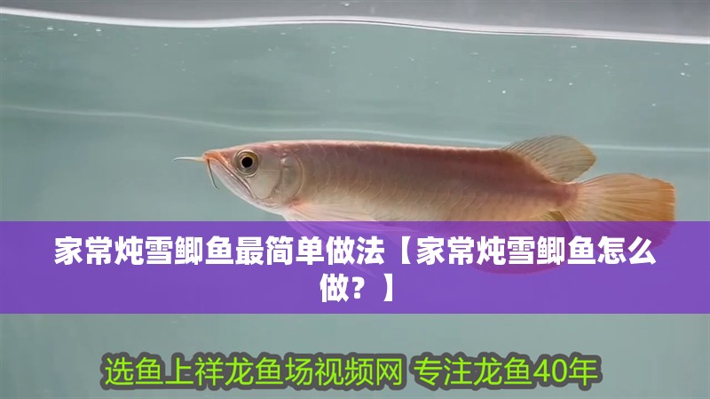 家常燉雪鯽魚最簡單做法【家常燉雪鯽魚怎么做？】 家常燉雪鯽魚最簡單做法【家常燉雪鯽魚怎么做？】 龍魚論壇