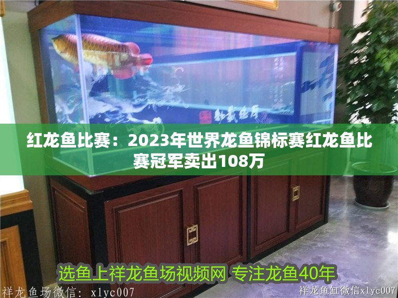 紅龍魚比賽：2023年世界龍魚錦標賽紅龍魚比賽冠軍賣出108萬