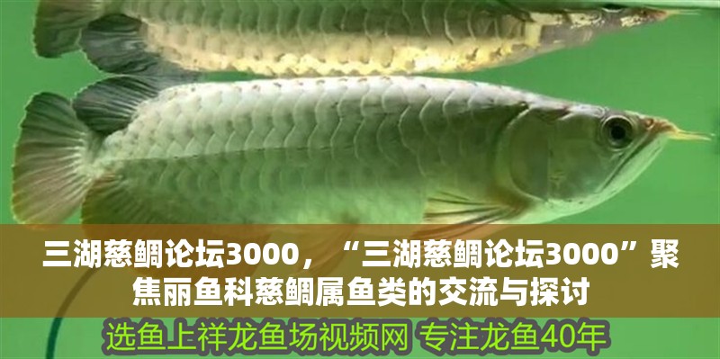 三湖慈鯛論壇3000，“三湖慈鯛論壇3000”聚焦麗魚科慈鯛屬魚類的交流與探討