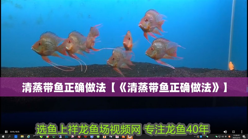 清蒸帶魚正確做法【《清蒸帶魚正確做法》】