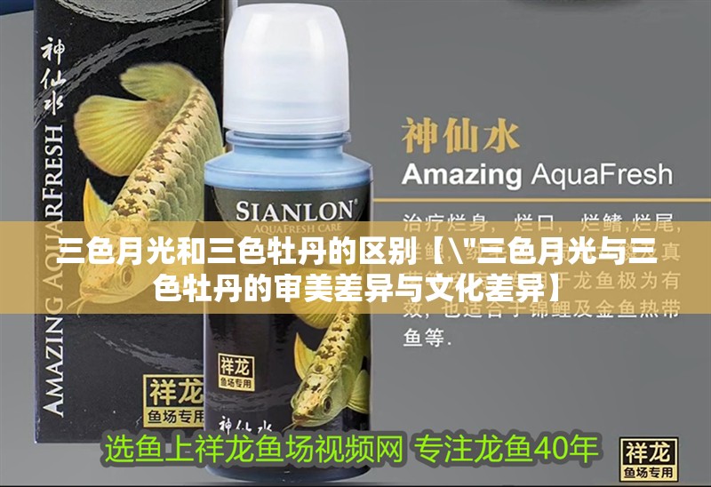 三色月光和三色牡丹的區(qū)別【\