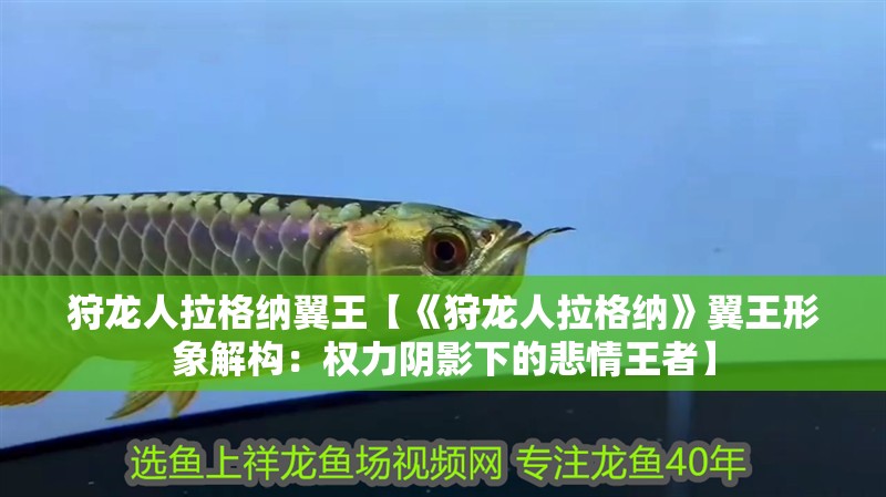 狩龍人拉格納翼王【《狩龍人拉格納》翼王形象解構：權力陰影下的悲情王者】