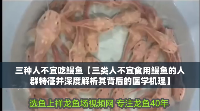 三種人不宜吃鰻魚【三類人不宜食用鰻魚的人群特征并深度解析其背后的醫學機理】