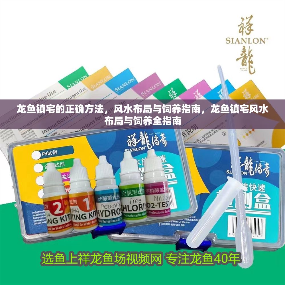 龍魚鎮宅的正確方法，風水布局與飼養指南，龍魚鎮宅風水布局與飼養全指南