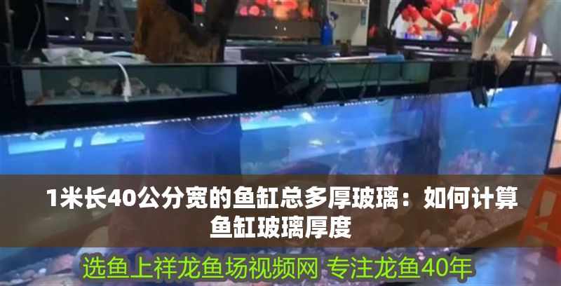 1米長40公分寬的魚缸總多厚玻璃：如何計算魚缸玻璃厚度