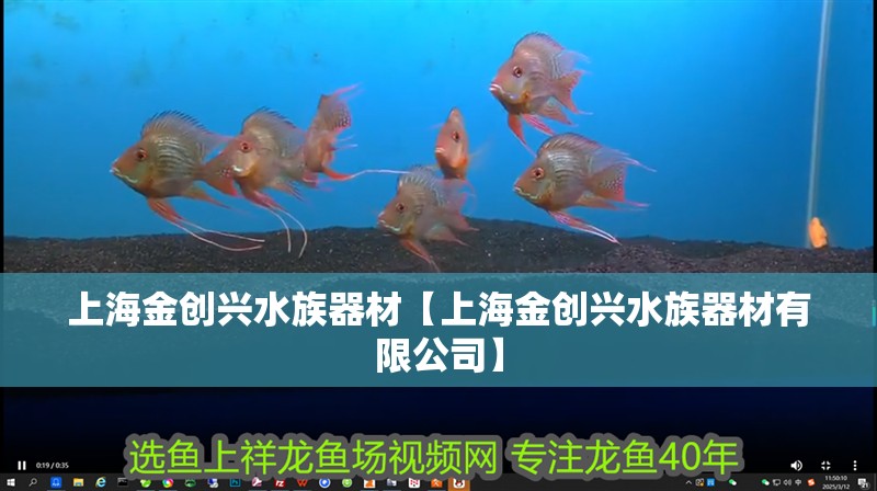 上海金創(chuàng)興水族器材【上海金創(chuàng)興水族器材有限公司】