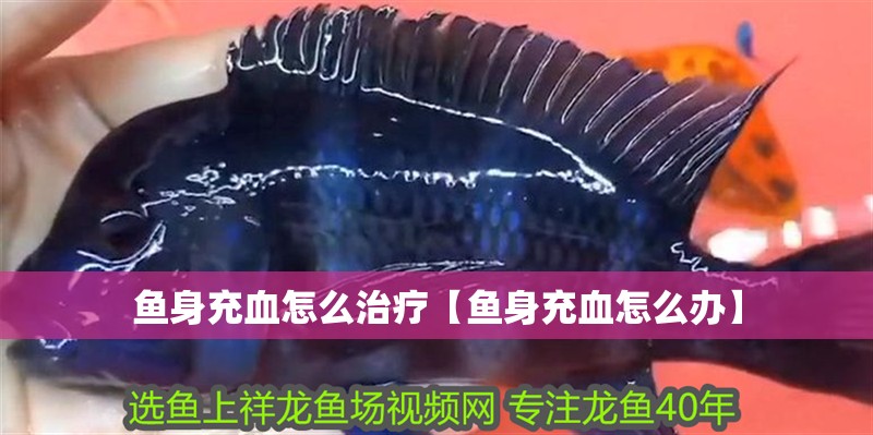 魚身充血怎么治療【魚身充血怎么辦】