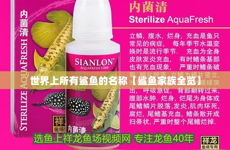 世界上所有鯊魚的名稱【鯊魚家族全覽】