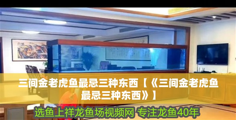 三間金老虎魚(yú)最忌三種東西【《三間金老虎魚(yú)最忌三種東西》】