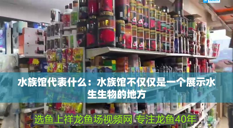 水族館代表什么：水族館不僅僅是一個展示水生生物的地方 水族館代表什么：水族館不僅僅是一個展示水生生物的地方 水族館百科（水族館加盟） 第1張