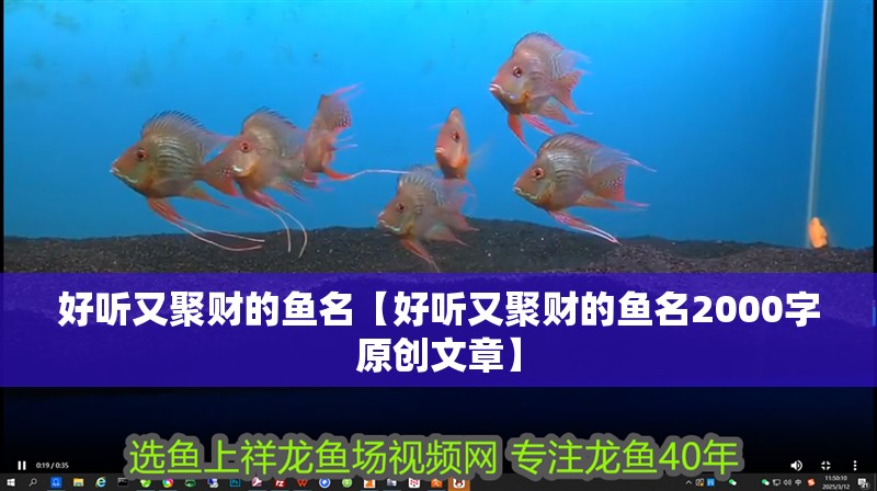 好聽又聚財(cái)?shù)聂~名【好聽又聚財(cái)?shù)聂~名2000字原創(chuàng)文章】