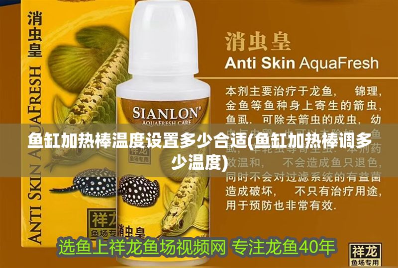 魚缸加熱棒溫度設(shè)置多少合適(魚缸加熱棒調(diào)多少溫度)