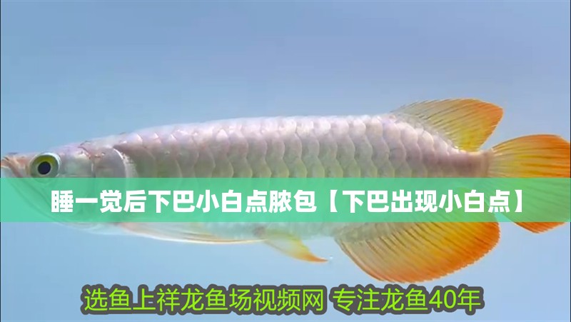 詳細(xì)閱讀:睡一覺(jué)后下巴小白點(diǎn)膿包【下巴出現(xiàn)小白點(diǎn)】 睡一覺(jué)后下巴小白點(diǎn)膿包【下巴出現(xiàn)小白點(diǎn)】