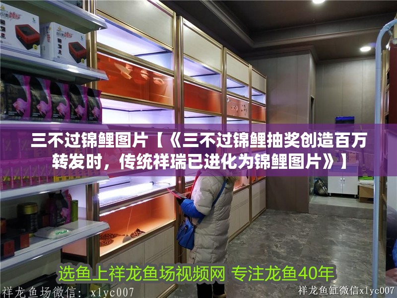 詳細閱讀:三不過錦鯉圖片【《三不過錦鯉抽獎創造百萬轉發時,傳統祥瑞已進化為錦鯉圖片》】 三不過錦鯉圖片【《三不過錦鯉抽獎創造百萬轉發時,傳統祥瑞已進化為錦鯉圖片》】