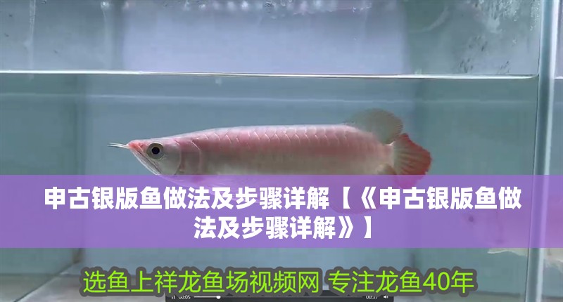 申古銀版魚做法及步驟詳解【《申古銀版魚做法及步驟詳解》】