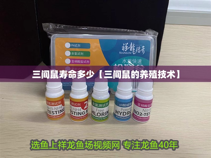 三間鼠壽命多少【三間鼠的養(yǎng)殖技術(shù)】