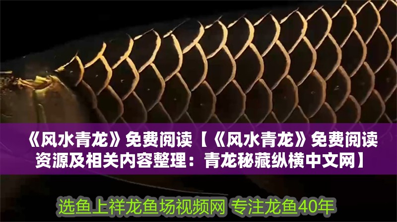 《風水青龍》免費閱讀【《風水青龍》免費閱讀資源及相關內容整理：青龍秘藏縱橫中文網】