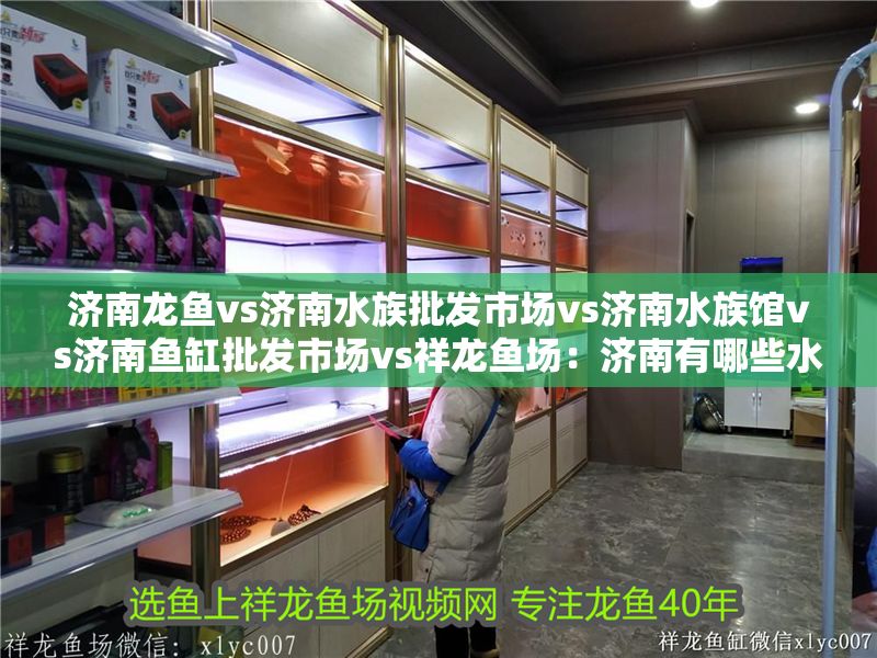 濟南龍魚vs濟南水族批發市場vs濟南水族館vs濟南魚缸批發市場vs祥龍魚場：濟南有哪些水族批發市場？