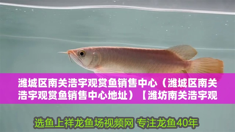 濰城區南關浩宇觀賞魚銷售中心（濰城區南關浩宇觀賞魚銷售中心地址）【濰坊南關浩宇觀賞魚銷售中心】