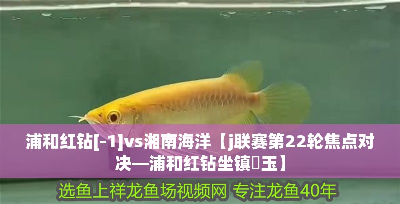 浦和紅鉆[-1]vs湘南海洋【j聯(lián)賽第22輪焦點(diǎn)對(duì)決—浦和紅鉆坐鎮(zhèn)埼玉】