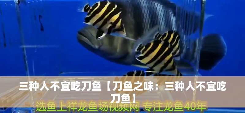 三種人不宜吃刀魚【刀魚之味：三種人不宜吃刀魚】