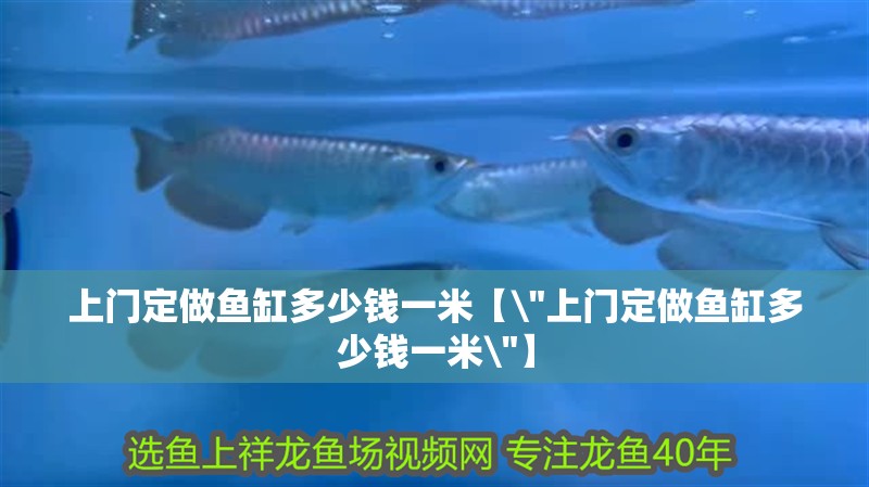 上門定做魚缸多少錢一米【\