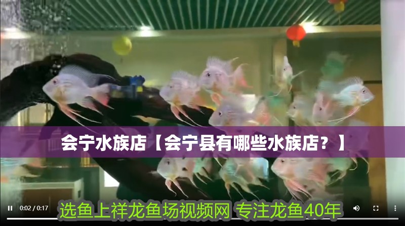 會寧水族店【會寧縣有哪些水族店?】 全國水族館企業名錄 會寧水族店【會寧縣有哪些水族店?】 會寧水族店【會寧縣有哪些水族店?】 全國水族館企業名錄