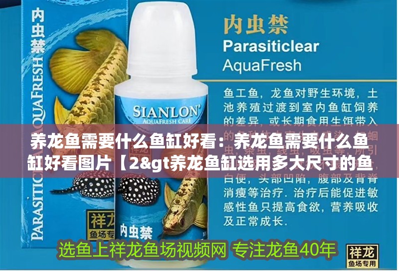 養龍魚需要什么魚缸好看：養龍魚需要什么魚缸好看圖片【2&gt養龍魚缸選用多大尺寸的魚缸比較合適】