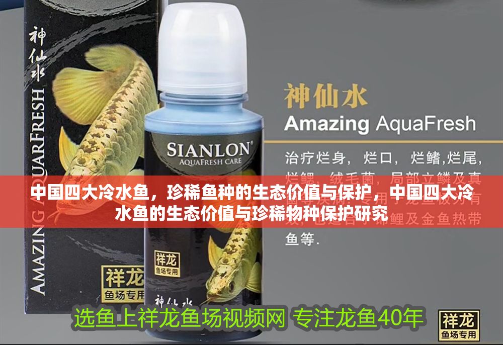 中國四大冷水魚，珍稀魚種的生態(tài)價值與保護(hù)，中國四大冷水魚的生態(tài)價值與珍稀物種保護(hù)研究 中國四大冷水魚，珍稀魚種的生態(tài)價值與保護(hù)，中國四大冷水魚的生態(tài)價值與珍稀物種保護(hù)研究 龍魚百科 第1張