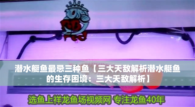 潛水艇魚最忌三種魚【三大天敵解析潛水艇魚的生存困境：三大天敵解析】 潛水艇魚最忌三種魚【三大天敵解析潛水艇魚的生存困境：三大天敵解析】 龍魚論壇