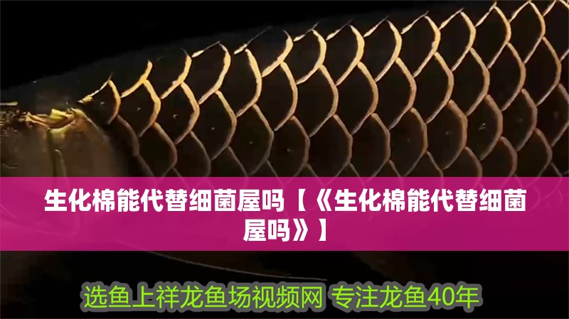 生化棉能代替細菌屋嗎【《生化棉能代替細菌屋嗎》】