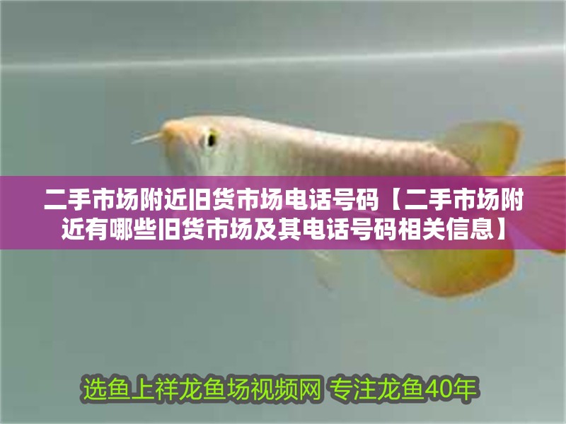 二手市場附近舊貨市場電話號碼【二手市場附近有哪些舊貨市場及其電話號碼相關信息】 龍魚論壇 二手市場附近舊貨市場電話號碼【二手市場附近有哪些舊貨市場及其電話號碼相關信息】 二手市場附近舊貨市場電話號碼【二手市場附近有哪些舊貨市場及其電話號碼相關信息】 龍魚論壇