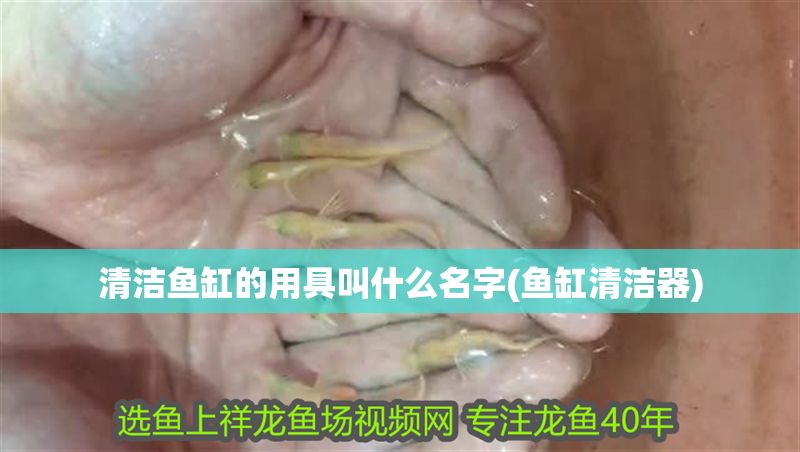 清潔魚缸的用具叫什么名字(魚缸清潔器)