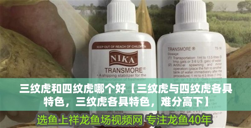 三紋虎和四紋虎哪個好【三紋虎與四紋虎各具特色，三紋虎各具特色，難分高下】