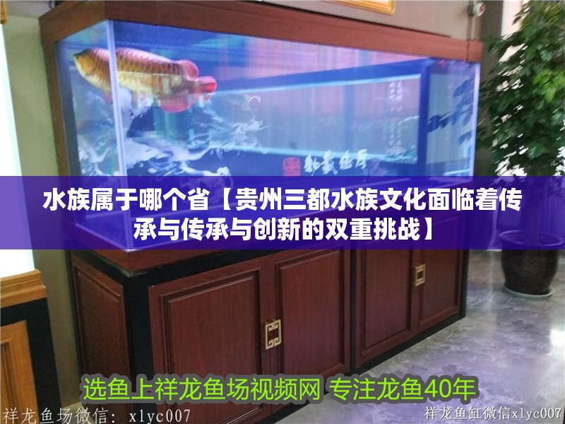 水族屬于哪個省【貴州三都水族文化面臨著傳承與傳承與創新的雙重挑戰】