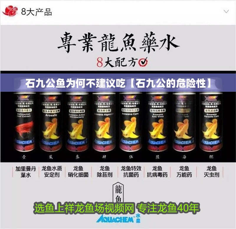 石九公魚為何不建議吃【石九公的危險性】 龍魚論壇 石九公魚為何不建議吃【石九公的危險性】 石九公魚為何不建議吃【石九公的危險性】 龍魚論壇