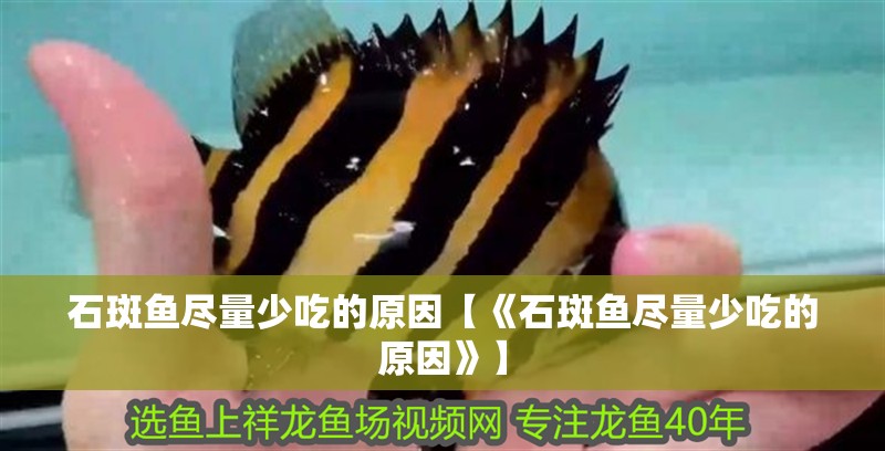 石斑魚盡量少吃的原因【《石斑魚盡量少吃的原因》】 石斑魚盡量少吃的原因【《石斑魚盡量少吃的原因》】 龍魚論壇