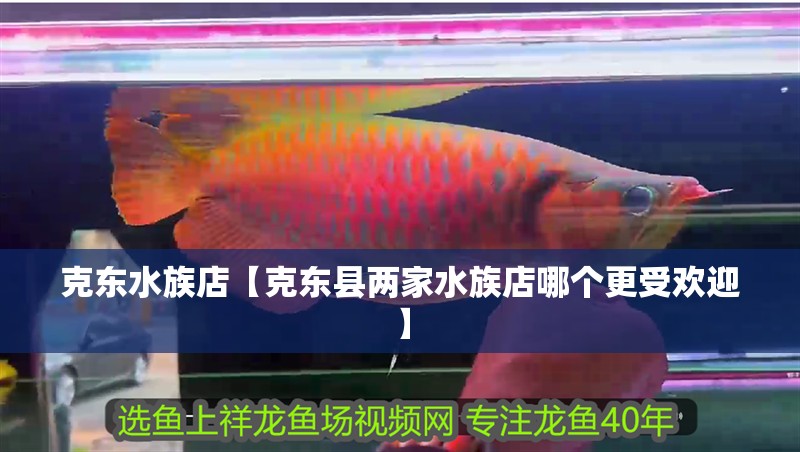 克東水族店【克東縣兩家水族店哪個更受歡迎】