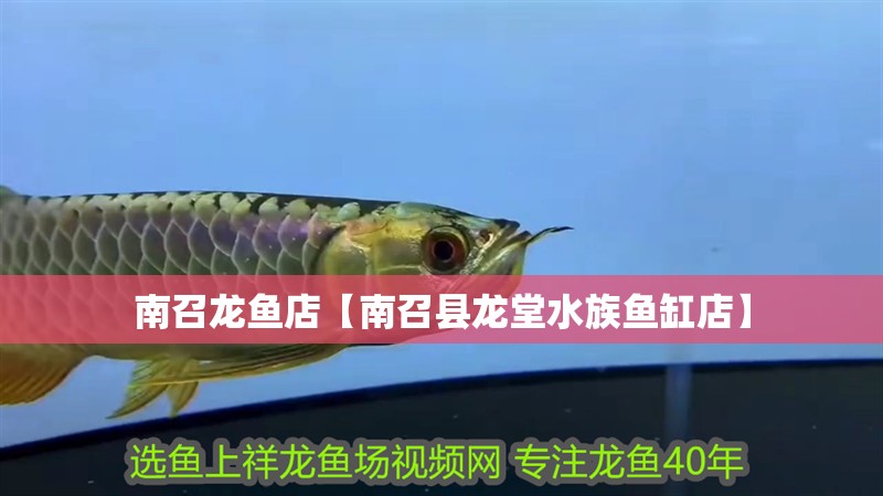 <strong><mark>南召</mark></strong>龍魚店【<strong><mark>南召</mark></strong>縣龍堂水族魚缸店】