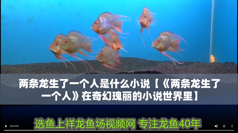 兩條龍生了一個人是什么小說【《兩條龍生了一個人》在奇幻瑰麗的小說世界里】